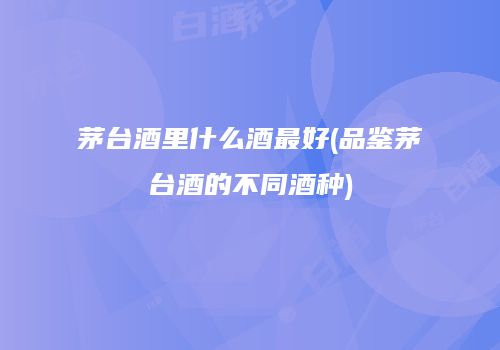 茅台酒里什么酒最好(品鉴茅台酒的不同酒种)