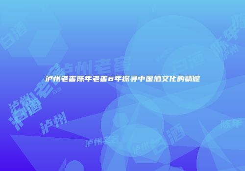 泸州老窖陈年老窖6年探寻中国酒文化的精髓