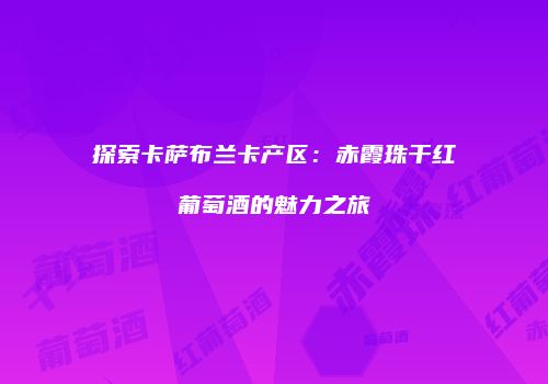 探索卡萨布兰卡产区：赤霞珠干红葡萄酒的魅力之旅