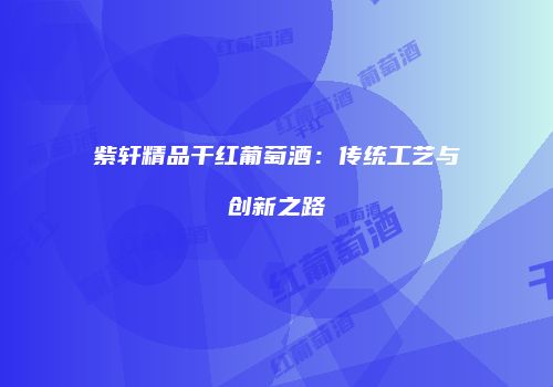 紫轩精品干红葡萄酒：传统工艺与创新之路