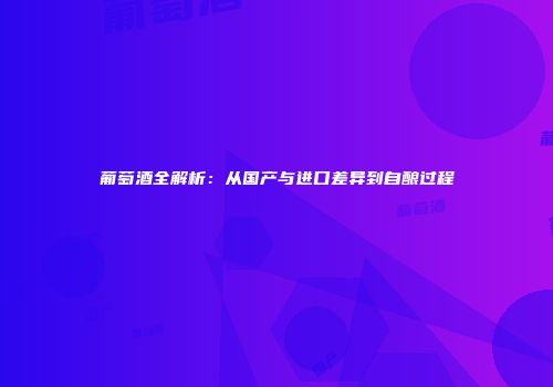 葡萄酒全解析：从国产与进口差异到自酿过程