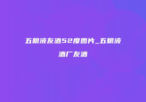 五粮液友酒52度图片_五粮液酒厂友酒