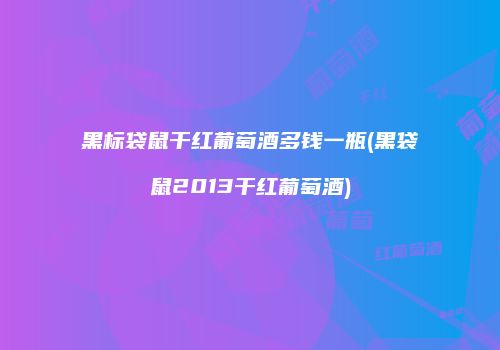 黑标袋鼠干红葡萄酒多钱一瓶(黑袋鼠2013干红葡萄酒)