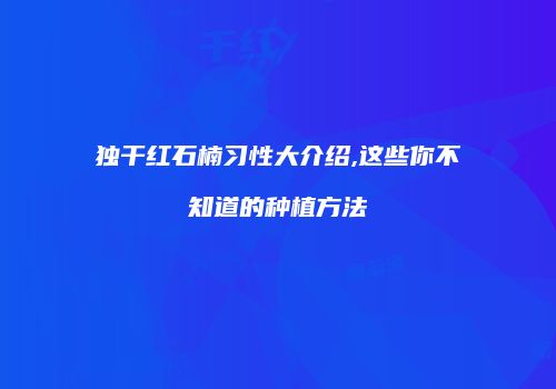 独干红石楠习性大介绍,这些你不知道的种植方法