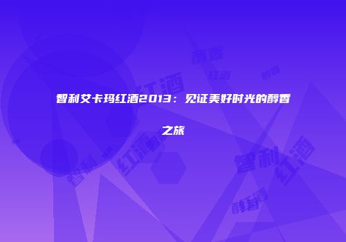 智利艾卡玛红酒2013：见证美好时光的醇香之旅