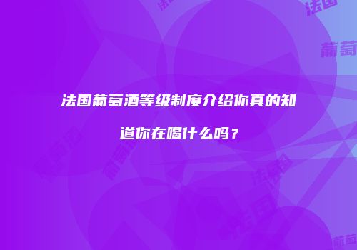 法国葡萄酒等级制度介绍你真的知道你在喝什么吗？