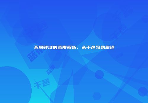 不同领域的蓝带解析：从干邑到跆拳道