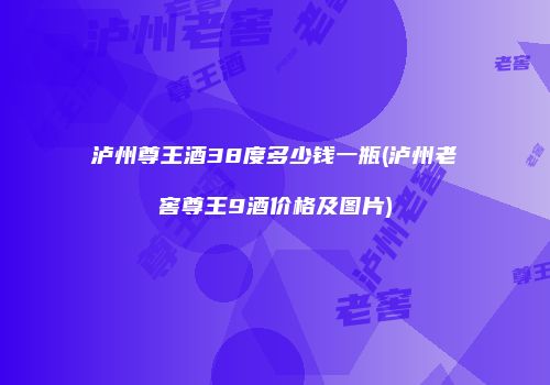 泸州尊王酒38度多少钱一瓶(泸州老窖尊王9酒价格及图片)