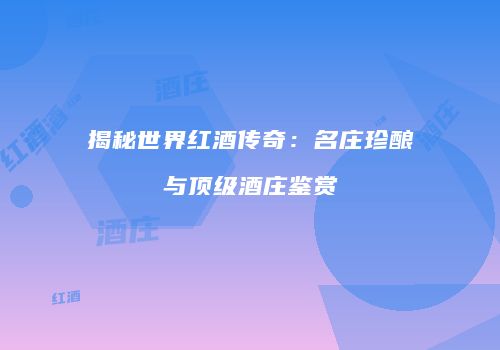 揭秘世界红酒传奇：名庄珍酿与顶级酒庄鉴赏