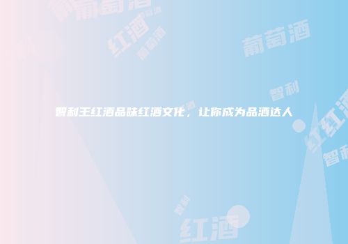 智利王红酒品味红酒文化，让你成为品酒达人