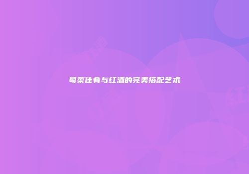 粤菜佳肴与红酒的完美搭配艺术