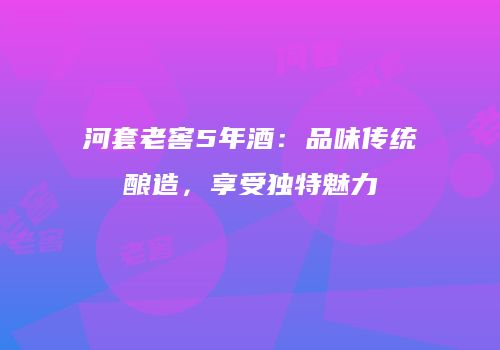 河套老窖5年酒：品味传统酿造，享受独特魅力