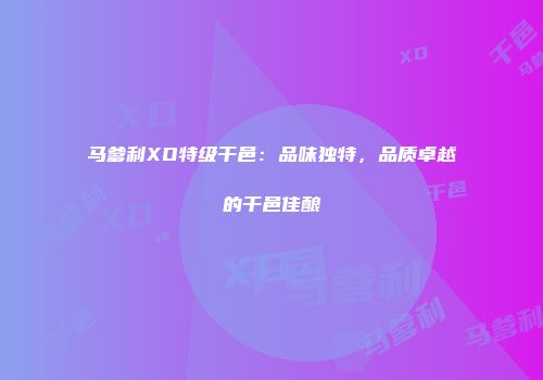 马爹利XO特级干邑：品味独特，品质卓越的干邑佳酿