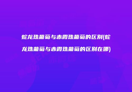 蛇龙珠葡萄与赤霞珠葡萄的区别(蛇龙珠葡萄与赤霞珠葡萄的区别在哪)