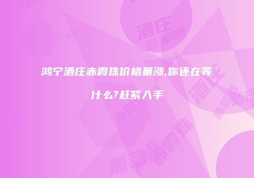 鸿宁酒庄赤霞珠价格暴涨,你还在等什么?赶紧入手