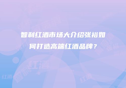 智利红酒市场大介绍张裕如何打造高端红酒品牌？