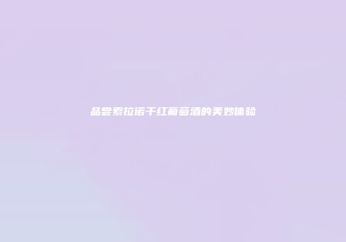 品尝索拉诺干红葡萄酒的美妙体验