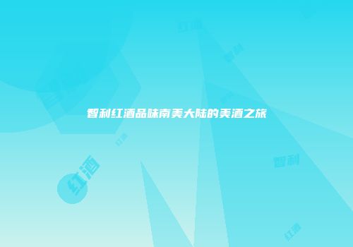 智利红酒品味南美大陆的美酒之旅