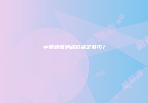 中萃葡萄酒瓶价格是多少？