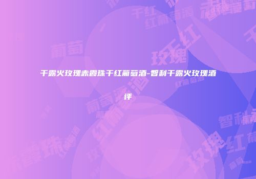 干露火玫瑰赤霞珠干红葡萄酒-智利干露火玫瑰酒评