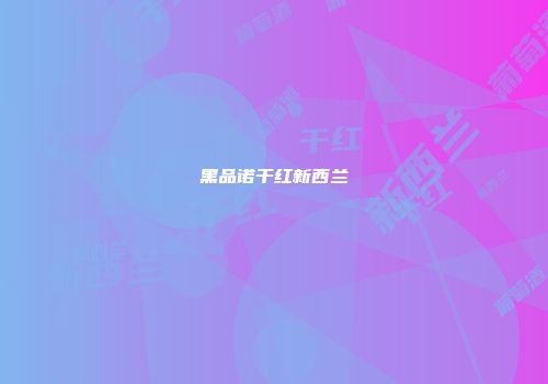 黑品诺干红新西兰