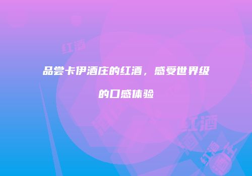 品尝卡伊酒庄的红酒，感受世界级的口感体验