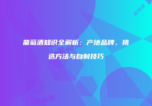 葡萄酒知识全解析：产地品牌、挑选方法与自制技巧