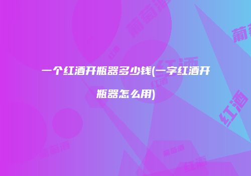 一个红酒开瓶器多少钱(一字红酒开瓶器怎么用)