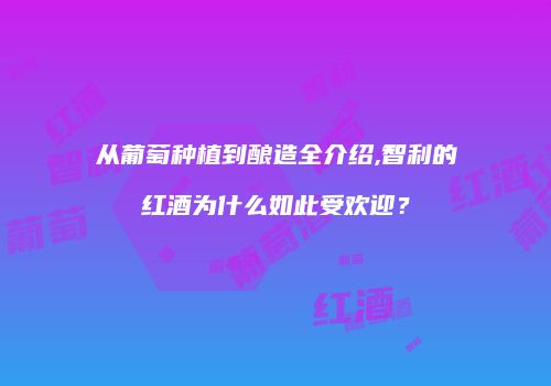 从葡萄种植到酿造全介绍,智利的红酒为什么如此受欢迎？