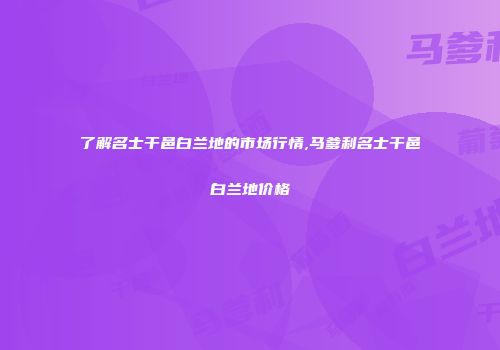 了解名士干邑白兰地的市场行情,马爹利名士干邑白兰地价格