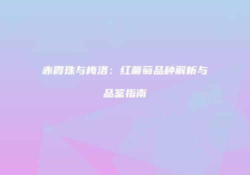 赤霞珠与梅洛：红葡萄品种解析与品鉴指南