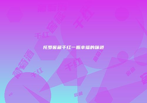 托罗窖藏干红一瓶幸福的味道