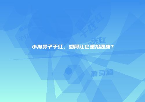 小狗鼻子干红，如何让它重拾健康？