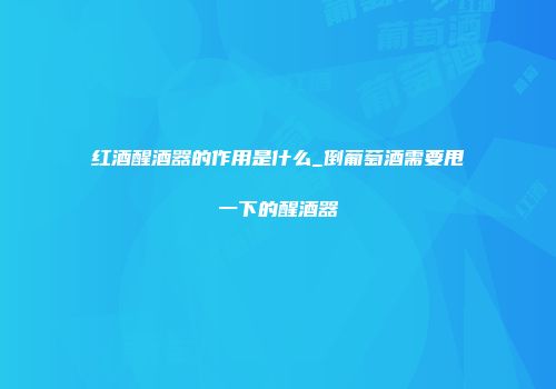红酒醒酒器的作用是什么_倒葡萄酒需要甩一下的醒酒器