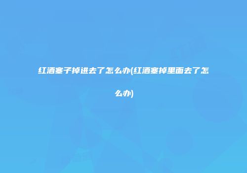 红酒塞子掉进去了怎么办(红酒塞掉里面去了怎么办)