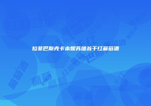拉菲巴斯克卡本妮苏维翁干红葡萄酒