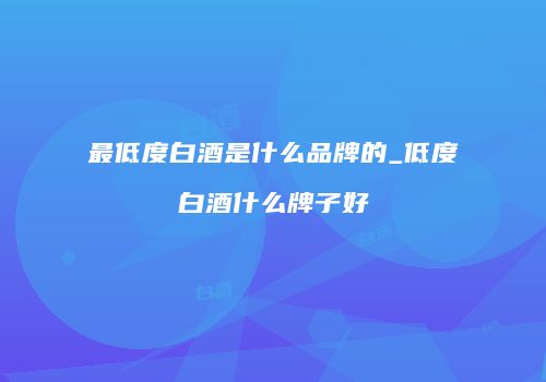 最低度白酒是什么品牌的_低度白酒什么牌子好
