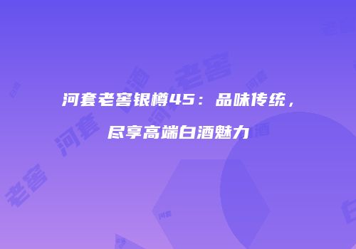 河套老窖银樽45：品味传统，尽享高端白酒魅力