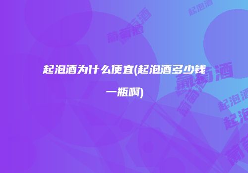 起泡酒为什么便宜(起泡酒多少钱一瓶啊)