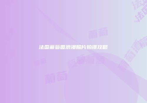法国葡萄园浪漫照片拍摄攻略