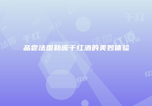 品尝法国勒庞干红酒的美妙体验