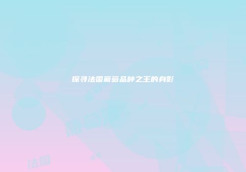 探寻法国葡萄品种之王的身影