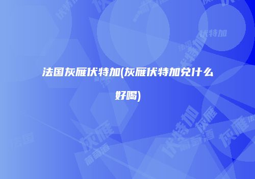 法国灰雁伏特加(灰雁伏特加兑什么好喝)