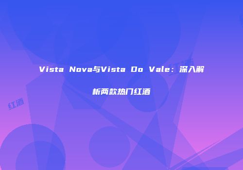 Vista Nova与Vista Do Vale：深入解析两款热门红酒