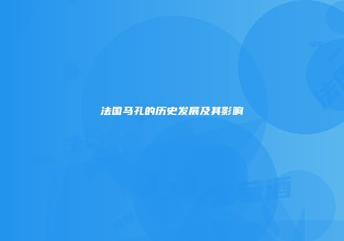 法国马孔的历史发展及其影响
