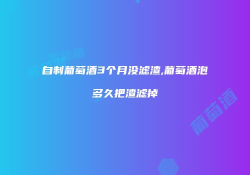 自制葡萄酒3个月没滤渣,葡萄酒泡多久把渣滤掉