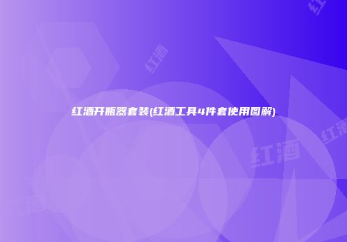 红酒开瓶器套装(红酒工具4件套使用图解)