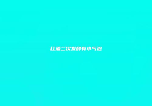红酒二次发酵有小气泡