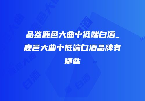 品鉴鹿邑大曲中低端白酒_鹿邑大曲中低端白酒品牌有哪些