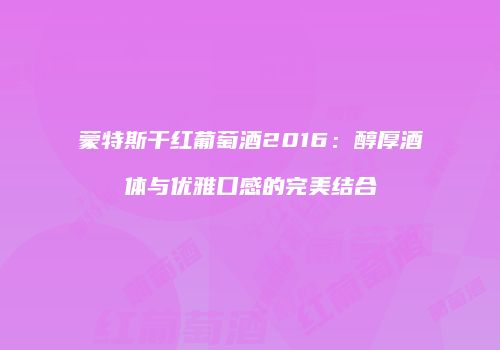 蒙特斯干红葡萄酒2016：醇厚酒体与优雅口感的完美结合